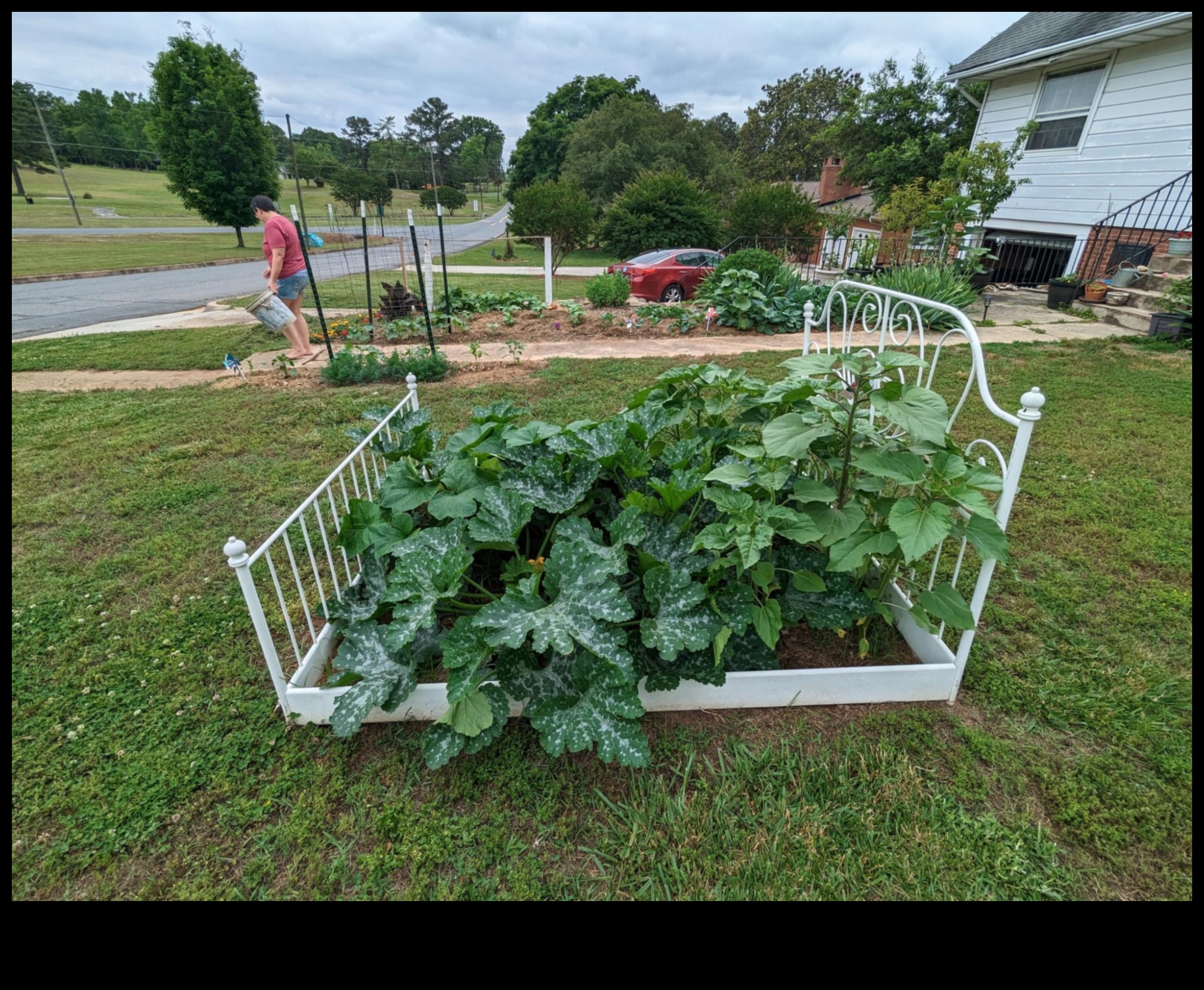 Micro Gardens, Macro Joy: Urban Gardening Marvels