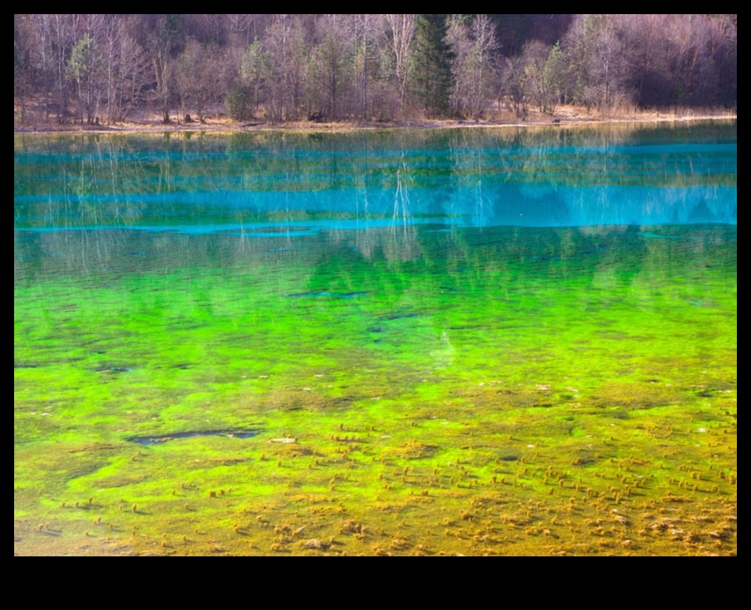 Oglinzi de liniște: lacuri și iazuri explorate