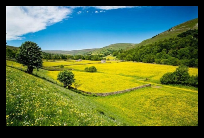 Rural Rhapsody: Capturând esența frumuseții rurale